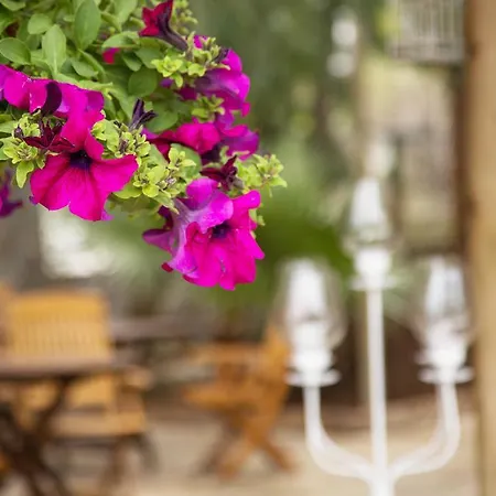 Üdülőpark Orhaniye Incir Bungalow, Beach & Restaurant