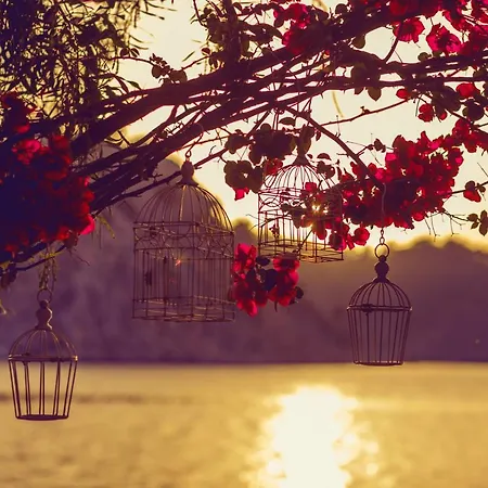 Orhaniye Incir Bungalow, Beach & Restaurant * Orhaniye