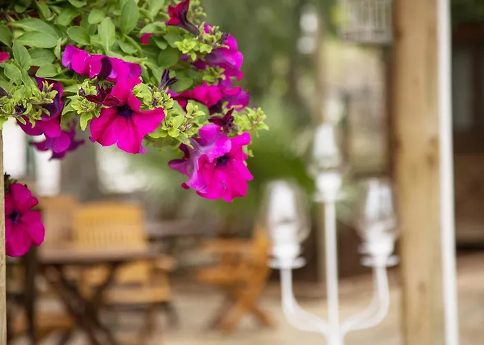 Ferienpark Orhaniye Incir Bungalow, Beach&restaurant